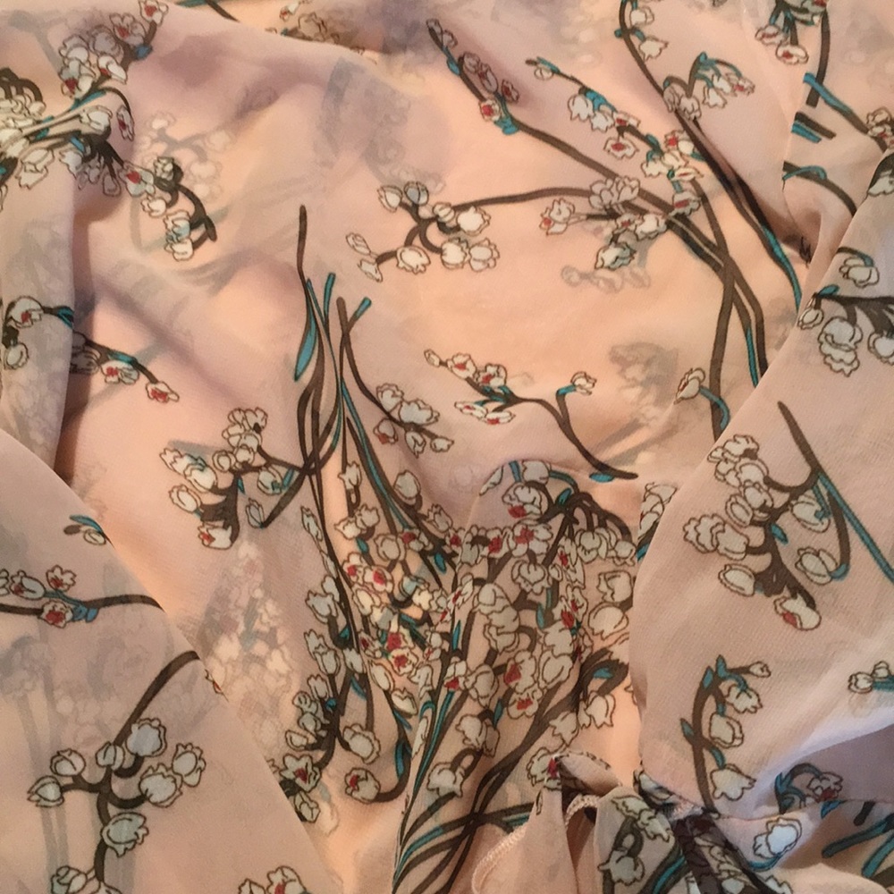 Beautiful sheer blouse - Picture 3 of 6